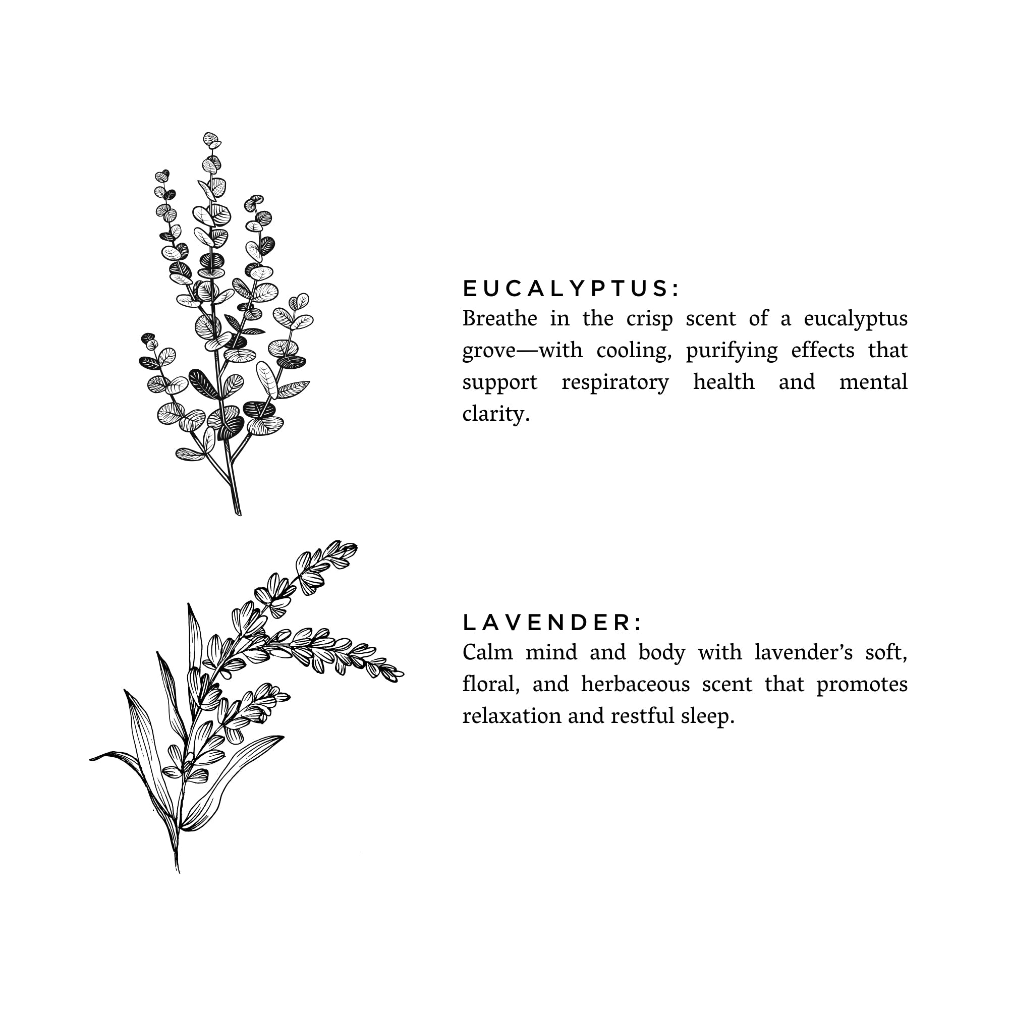 Eucalyptus and Lavender Candle